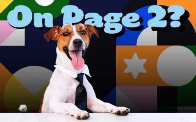 Vet Clinic Website Ranking on Page 2? Here’s Why You’re Invisible on Google
